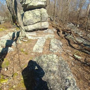 Meet your Posher, Barry